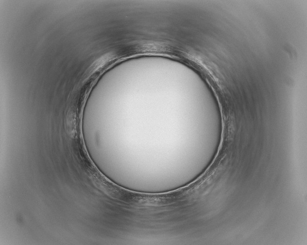 X0000116061211200912041847