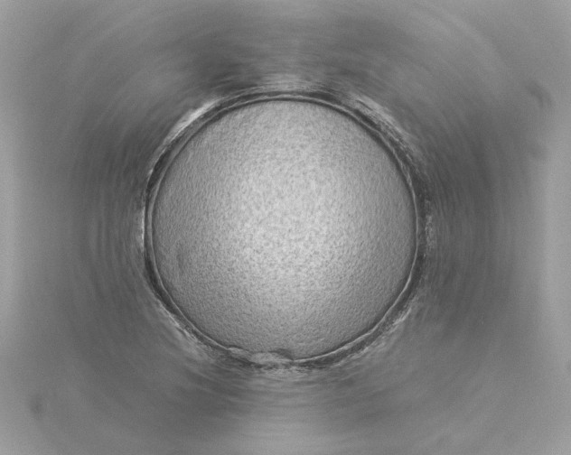 X0000116061220200912041847