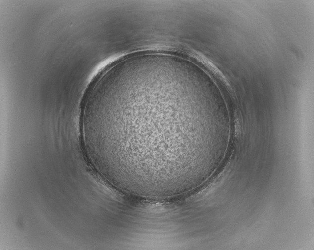 X0000116061222200912041847