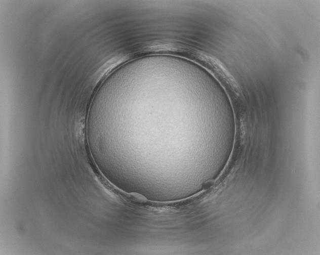 X0000116061225200912041847