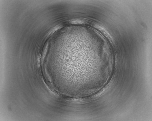X0000116061233200912041847
