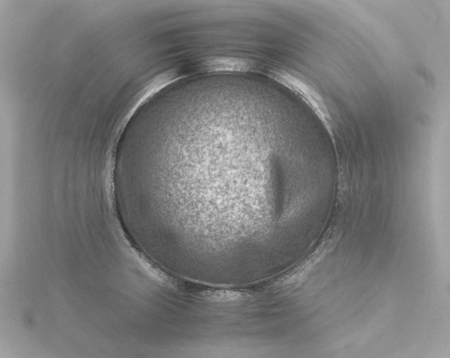 X0000116061235200912041847