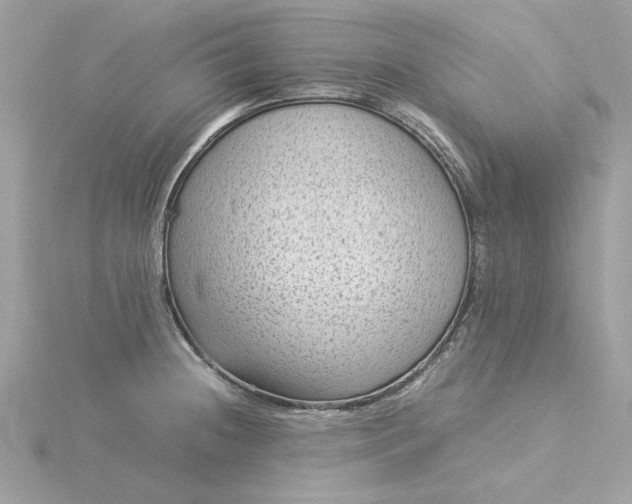 X0000116061236200912041847