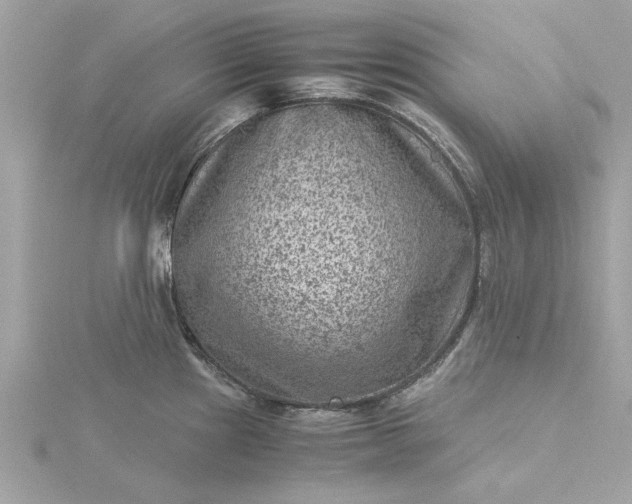 X0000116061241200912041847