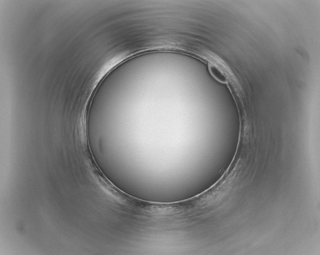X0000116061242200912041847