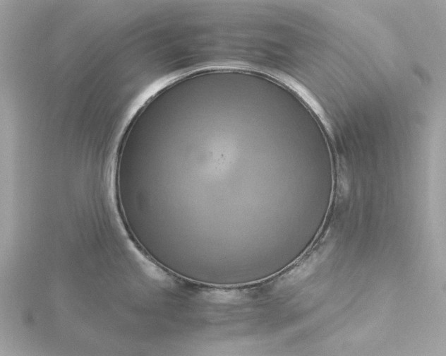 X0000116061245200912041847
