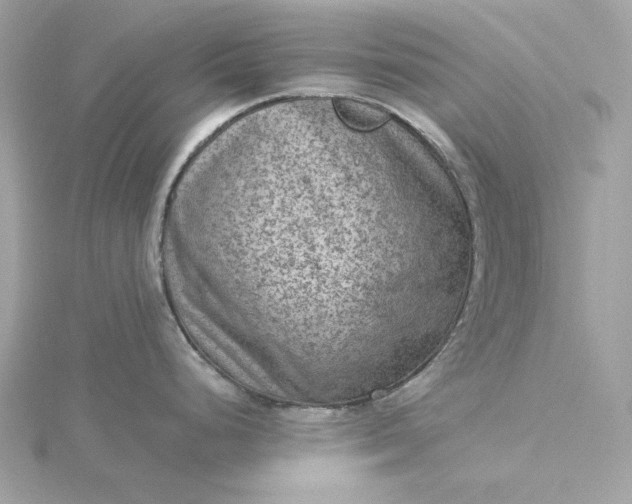 X0000116061248200912041847