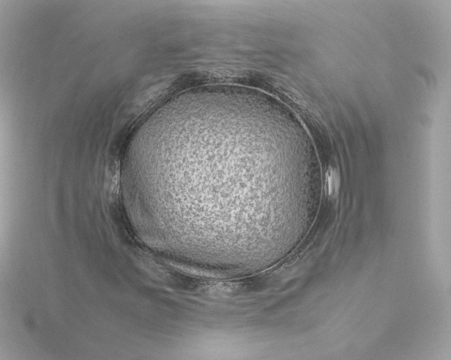 X0000116061251200912041847