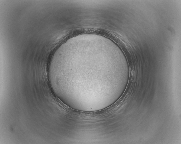 X0000116061252200912041847