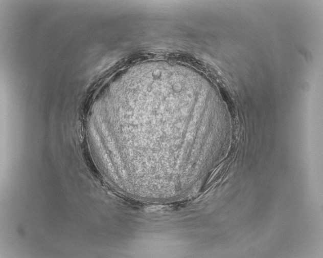 X0000116061253200912041847