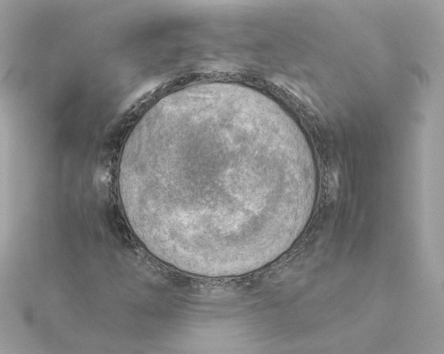 X0000116061254200912041847