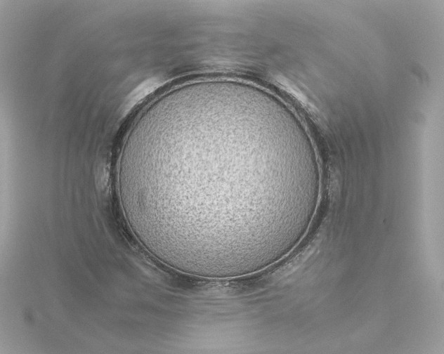 X0000116061259200912041847