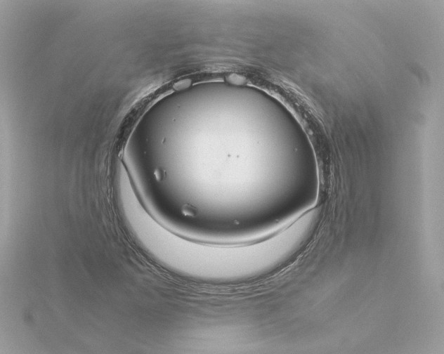 X0000116061261200912041846