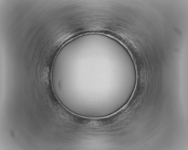 X0000116061265200912041846