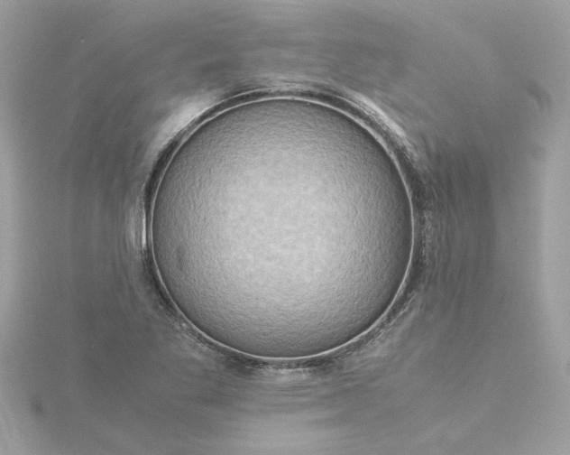 X0000116061269200912041846