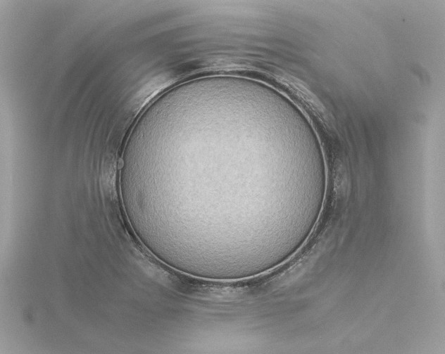 X0000116061273200912041846