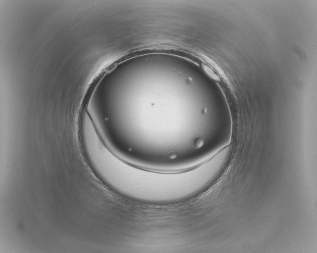 X0000116061277200912041846