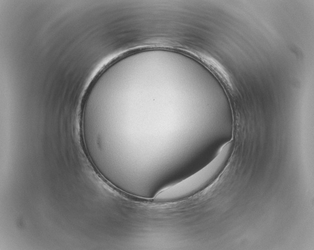 X0000116061288200912041846