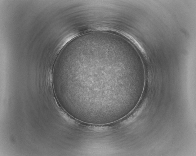 X0000116061289200912041846