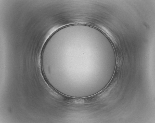 X0000116061291200912041846
