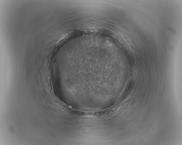 X0000116061297200912041845