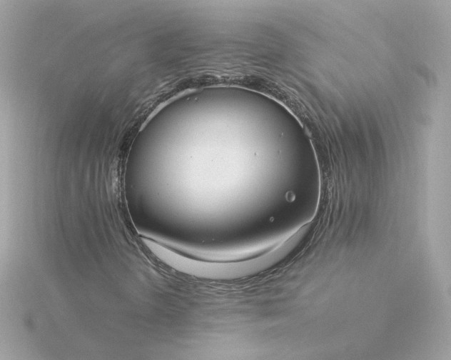 X0000116061298200912041845