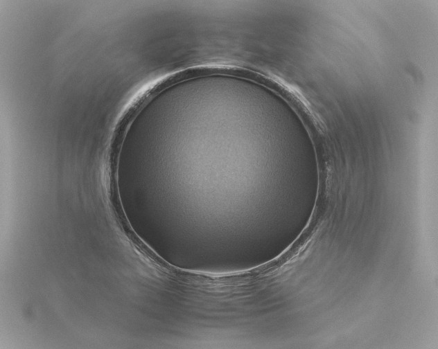 X0000116061319200912041846