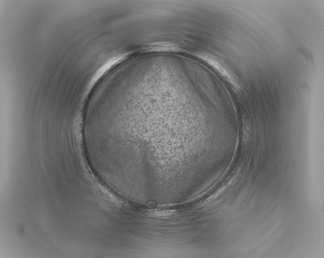 X0000116061325200912041846