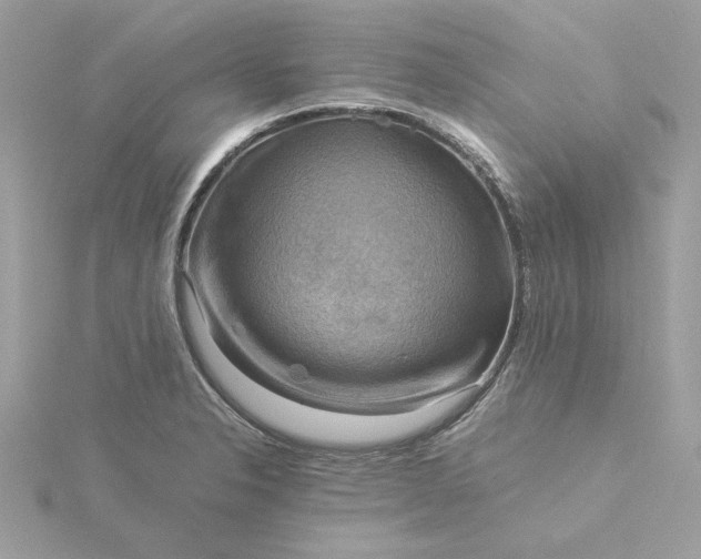 X0000116061326200912041846