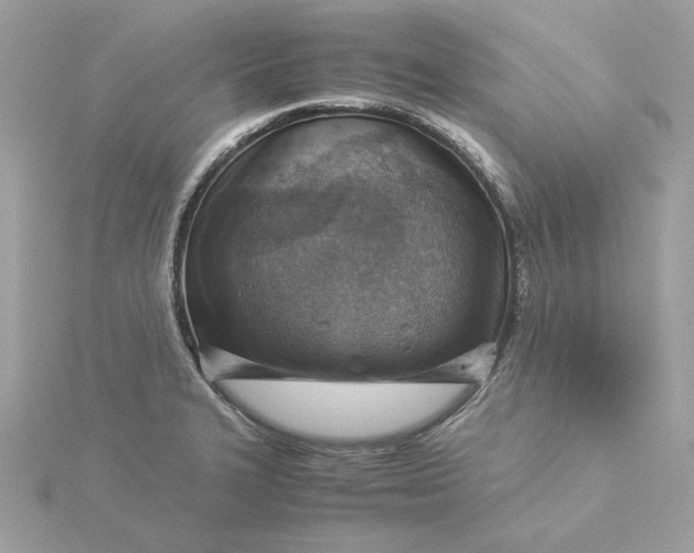 X0000116061327200912041846