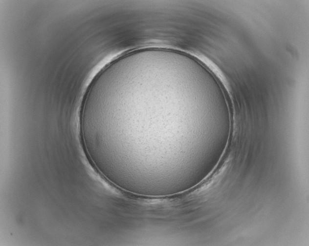 X0000116061341200912041846