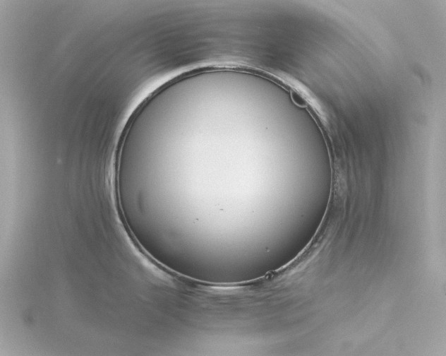 X0000116061343200912041846