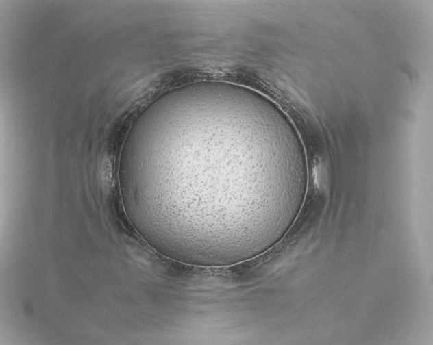 X0000116061347200912041845