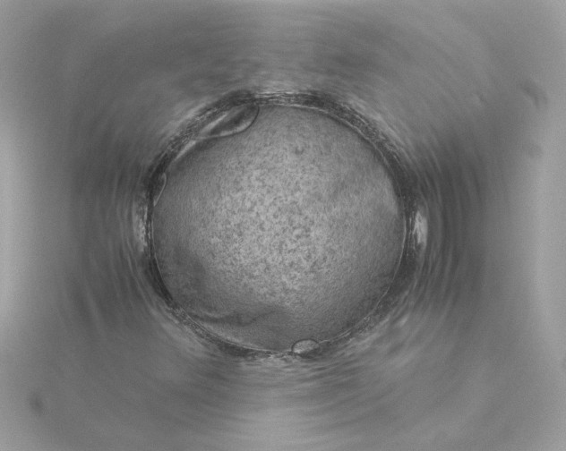 X0000116061348200912041845