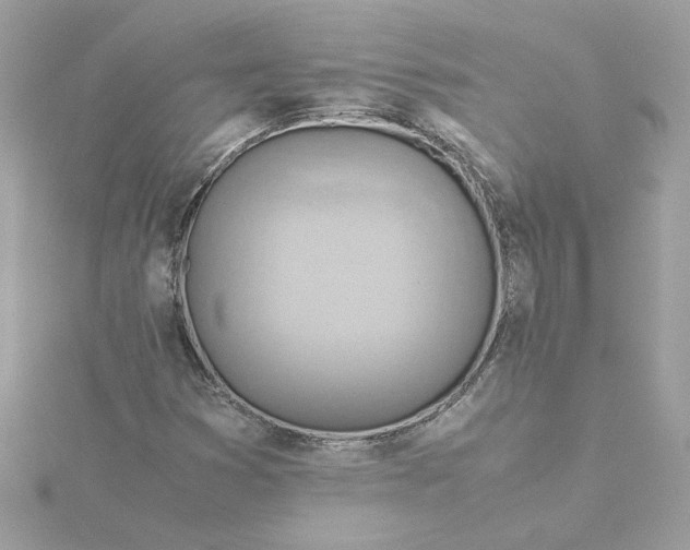 X0000116061353200912041845