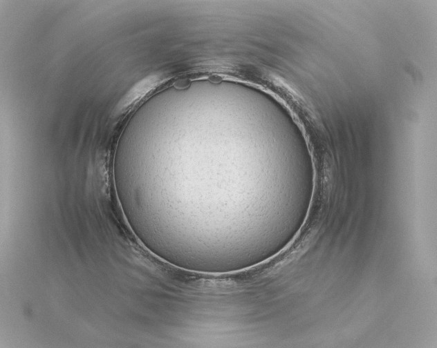 X0000116061354200912041845