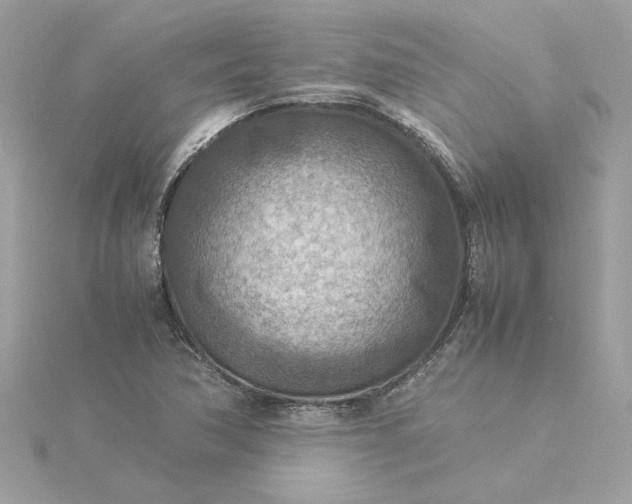 X0000116061362200912041845
