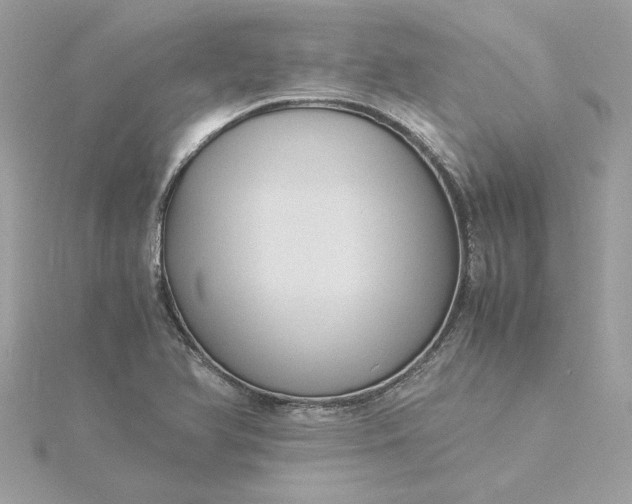 X0000116061366200912041845