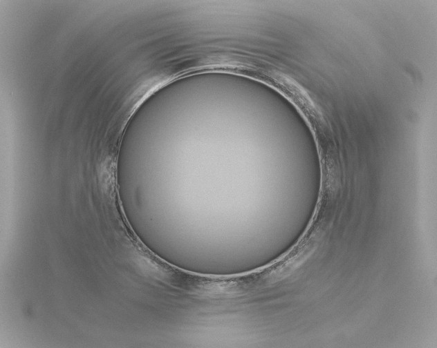 X0000116061369200912041845