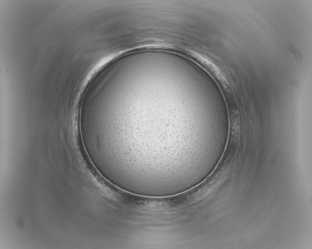 X0000116061375200912041845