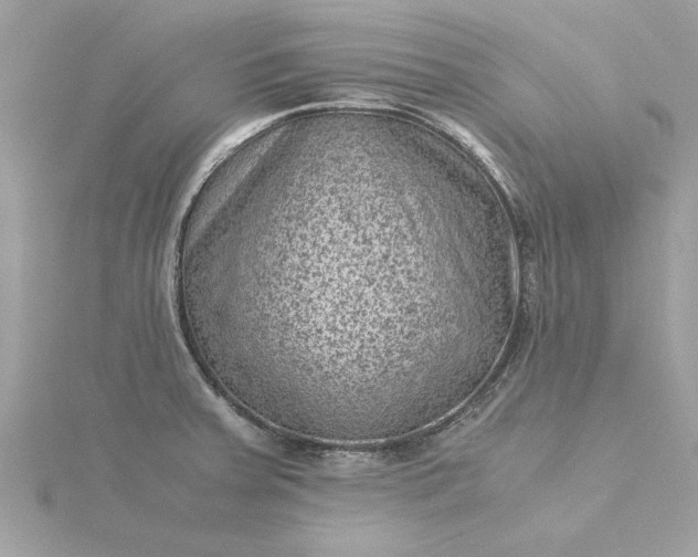 X0000116061379200912041845