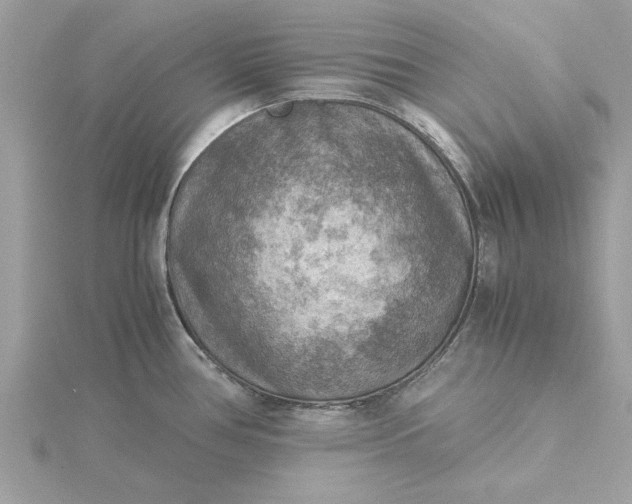 X0000116061386200912041845