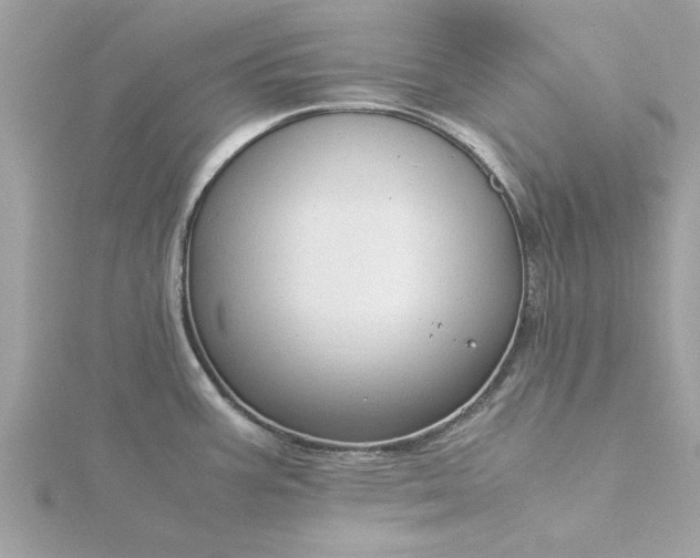 X0000116061387200912041845