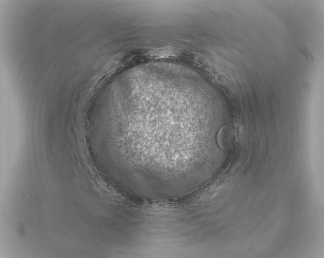 X0000116061393200912041844