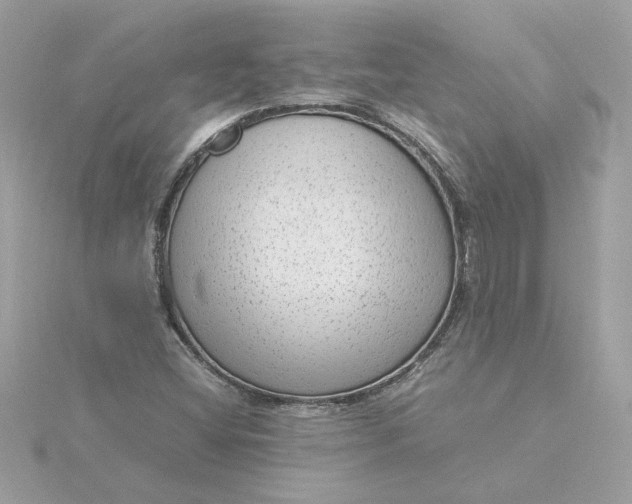 X0000116061404200912041844