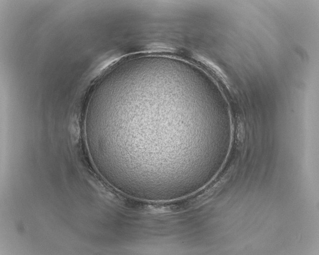 X0000116061407200912041844