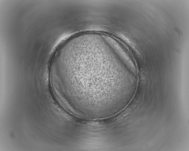 X0000116061408200912041844