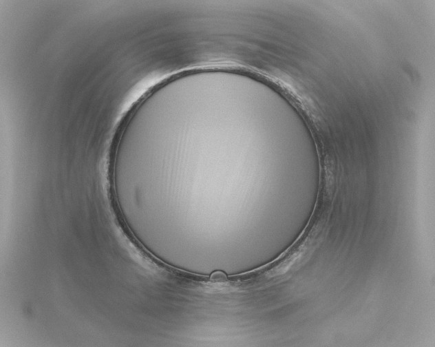 X0000116061422200912041845