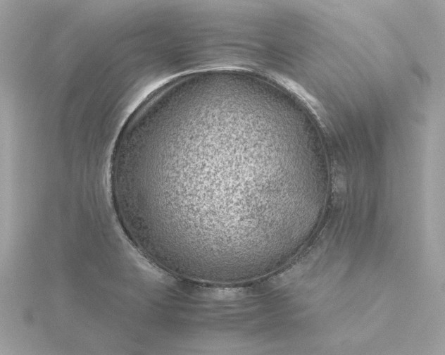 X0000116061423200912041845