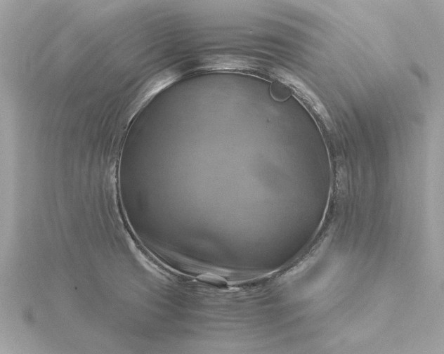 X0000116061425200912041845